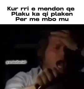 🖤 #fypage #viral #fyp #viraltiktok #memeshqip #kozakbraci1 #artisti 