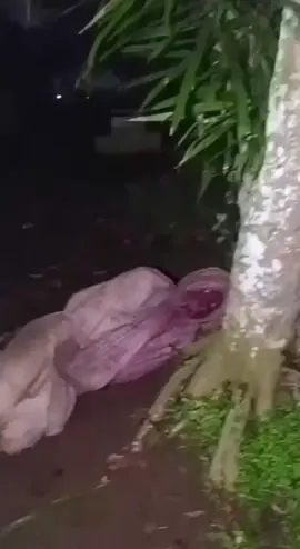 Pocongnya Yg Meresahkan Warga Sumenep Sudah Ketangkap