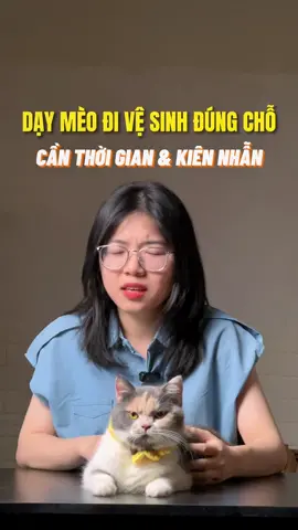 Dạy mèo đi wc đúng chỗ #meo #cat #limmeo #pet #LearnOnTikTok 