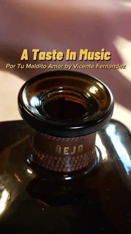 Por Tu Maldito Amor By Vicente Fernandez - A Taste In Music #musicalatina 