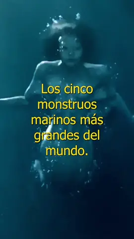 EL MOUNSTRO MARINO MÁS GRANDES DEL MUNDO 🌏😳 #monstrosmarinhos #bajoelagua #fypシ゚viral #discoverychannel #top #elbloop #mar #animalesextraños #animalesextintos #latinoamérica 