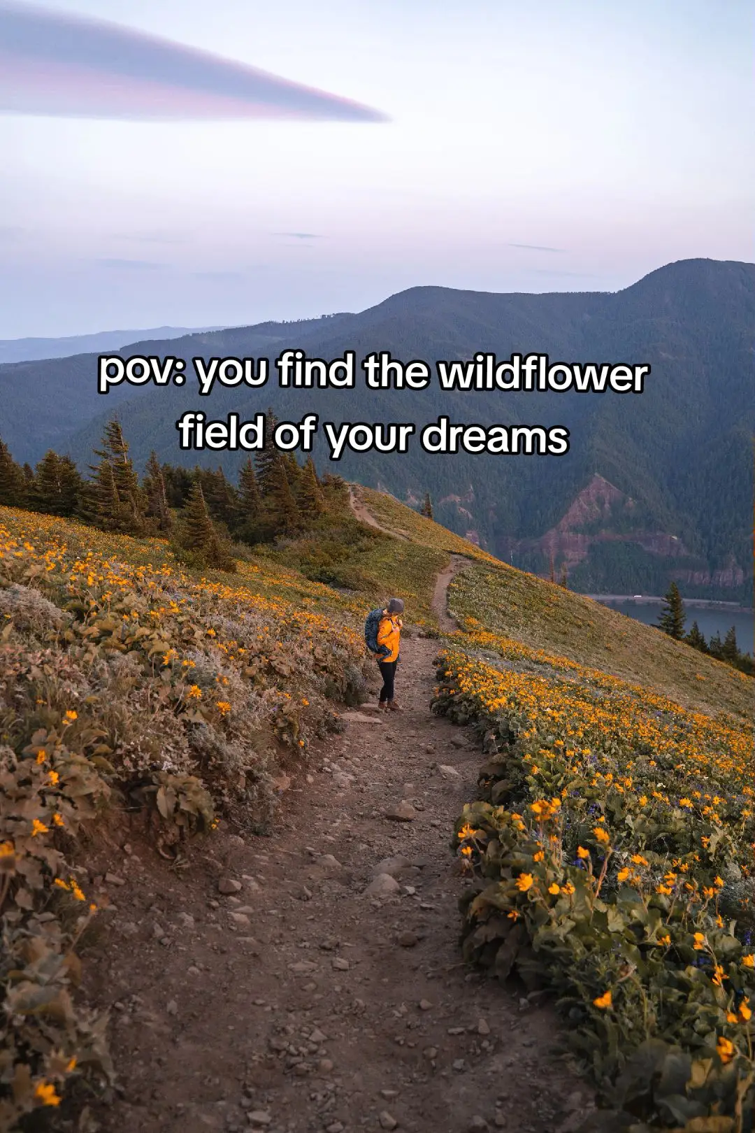 This is the best wildflower hike in Oregon and Washington! permits are required on weekends in May and June 📷 1,3,6- @outdoorbrooke  #pnwcheck #wildflower #hikinggirl #granolagirl #getoutside 