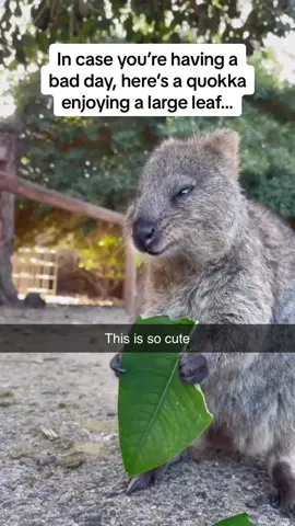 The CRUNCH sounds 😭😭😭 Follow @Pubity for more #Pubity (IG: saady.lange via @collab)