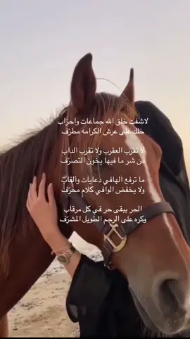 #اكسبلوررر #اكسبلور #شعر #شعروقصايد #امطار 