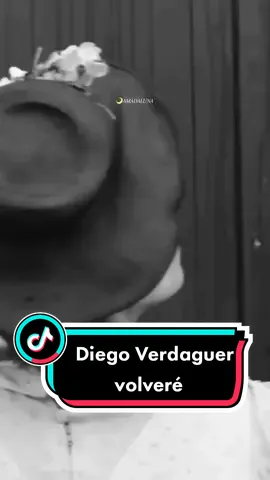 DIEGO VERDAGUER - VOLVERÉ #volvere #diegoverdaguerporsiempre❤️🥰🙏🏻 #diegoverdaguer #viejitasperobonitas #lyrics #letras 