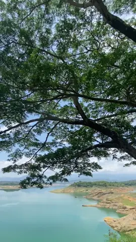 Pantabangan Dam #nuevaecija #philippines #pantabangandam #lakepantabanagan #pantabangandamnuevaecija #trip #traveltiktok #relaxingview #mountainview #happytravel #beautifulplace #beautifulnature #breathtakingviews #naturetrip #travelvibes #abundance #roadtripvideos #ilovetheview #naturesbeauty #gardening #philippines 