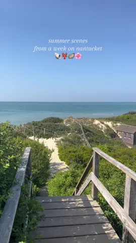 summer scenes on nantucket 🐚🦞🦪🌸 #nantucket #newenglandsummer #nantucketsummer 
