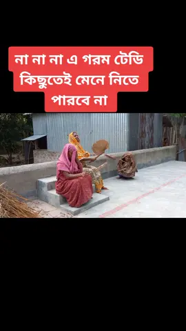 এই গরমের টেডির বেঁচে থাকা খুবই মুশকিল Teddy Bear Funny Video Mr Teddy Bear Funny Prank Prank#teddy #fyp #teddybear #fouryoupage @TikTok Bangladesh @TikTokBangladesh### 