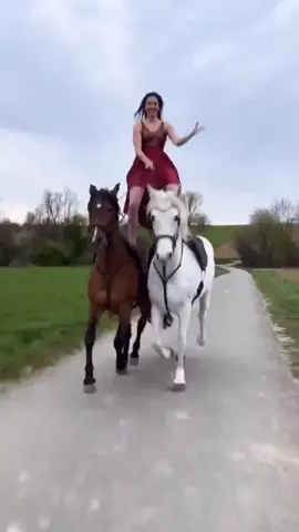 One can get in a car and see what man has made. One must get on a horse to see what God has made. #horseriding #horsegirl #اکسبلور #foryou 