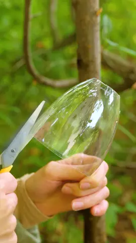 Keep instects away with this trick! #gardeningathome #DIY #greentok #PlantTok #plantingathome 