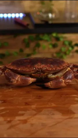 Sapateira recheada é um prato muito querido em Portugal 🇵🇹  Podes ver a receita completa no canal de  YouTube 