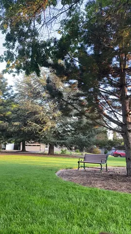 sounds of the park 