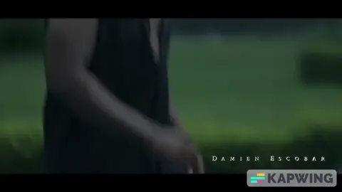 Phoenix #phoenix #damienescobar #musicvideo #foryou #violin #violinist #jazz #violinjazz 