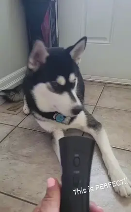 🐶🔇 Silence the barks and keep dogs away! Introducing the ultimate Dog Repeller + Anti-Bark Device! 🚫🐕 This compact tool uses ultrasonic waves to deter unwanted barking and discourage approaching dogs. 🗣️🔊 Train your furry friend and enjoy a peaceful environment with adjustable settings and humane technology. 🏞️🏃‍♀️🚴‍♂️ Say goodbye to noise and hello to calm! 🤫✨ #DogRepeller #AntiBarkDevice #SilenceTheBarks #TrainYourDog #PeacefulEnvironment #petloverforever 
