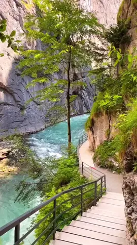 Here is another one From Aare Gorge in Canton Bern 🇨🇭🍃 would you like to see some mixed videos from here i also took pictures i will share in the next days  #wonderful_swiss #switzerland #aareschlucht #aare #reels #natgeo #beautifuldestinations #earthpix #earth #voyaged #swissalps #beautifulmatters #hellofrom