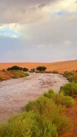 السجه اللي نوب تثر على البال  عز الله اني عارفً وش دواها  . سج القدم في خايعً تو ماسال  اخير من بعض الوجيه وغثاها