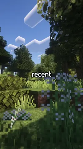 This cleared my acne #Minecraft #gaming #fyp #minecraftmemes #texturepack #mods #java #mcpe #stream 