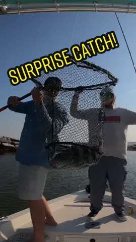 I did NOT EXPECT to catch THIS MASSIVE sheepshead while FISHING the jetty!  #fyp #foryoupage #fishing #fishtok #fishinglife #saltwaterfishing #
