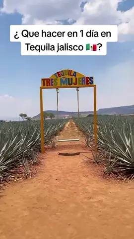 ¿ Que visitar en Tequila jalisco en 1 día?  1. Tequilera 3 mujeres donde se grabo la telenovela Destilando amor 2. Tequila Selecto donde se grabo el video 