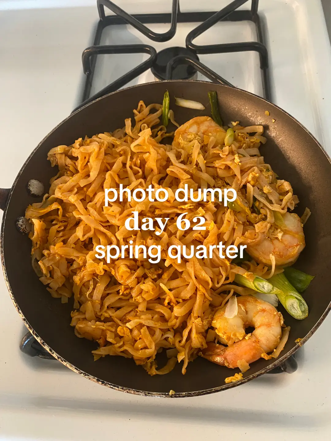 photodump of day 62 of spring quarter classes !!  #fyp #foryou #ucla #uclabruin #uclabruins #uclabound #bruin #bruins #college #collegelife #collegebelike #dayatucla #photodump #senioryear #collegesenior #lastquarterofschool #undergraduate #undergrad 