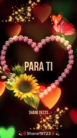 #CapCut #parati#hermana#tequieromucho#desdeladistanciaparati#shane🇧🇪🇪🇨🔥19723 #reflexión🇪🇨🦋💝 #tiktok #lunes #iniciodesemana 