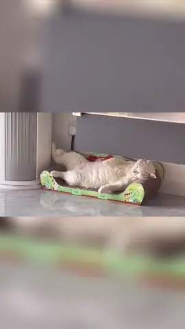 😂