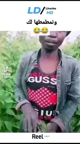 😂😂😂😂😂