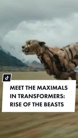 Watch the official introduction of the iconic #Maximals #OptimusPrimal #Airazor #Rhinox and #Cheetor who join the #Autobots in #TransformersRiseoftheBeasts 🦍🪶🦏🐆 #transformers #riseofthebeasts #beastwars #transformersbeastwars #optimusprime #bumblebee 