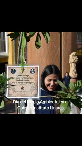 Estudiantes de cuartos medios y pre kinders del Colegio Instituto Linares realizaron la plantación de dos árboles nativos en el patio del establecimiento educacional Marianistas para sumarse al 