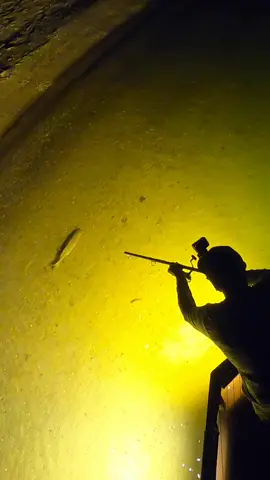 Blowgun fishing! #fishing #blowgun #bowfishing #archery #fyp #carpfishing #bwfilms #foryoupage #Outdoors #fish 