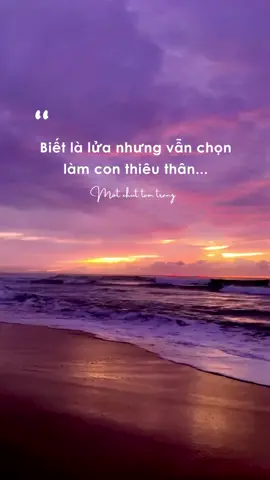 Biết là lửa nhưng vẫn nguyện làm con thiêu thân... #nhữngtríchdẫnhay #motchuttamtrang #trạmcảmxúc #cảmơnvìtấtcả #gócsuyngẫm #captiontâmtrạng 