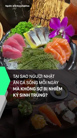 Tại sao người Nhật ăn cá sống mỗi ngày mà không sợ bị nhiễm ký sinh trùng? #mutex #tintuc #sashimi #suckhoe #doisong #amm