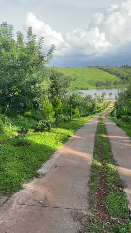 #cảnhđẹpthiênnhiên #daksong48daknong #bìnhyênnơiđâu #chillmộtchút #mộtbuổichiềuchill #travelvietnam #vùngđấtthúvị #nhữngconđườngđẹp #quêtôi #thiênnhiên #cảnhđẹpviệtnam 
