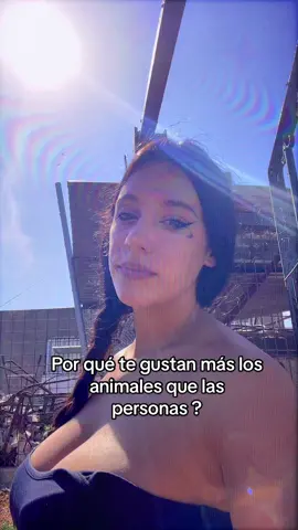 Un animal te quiere tal cual eres y sienten cuando estás mal sin necesidad de decirles nada 💚 #fyp #paratii #viral #loveanimals 