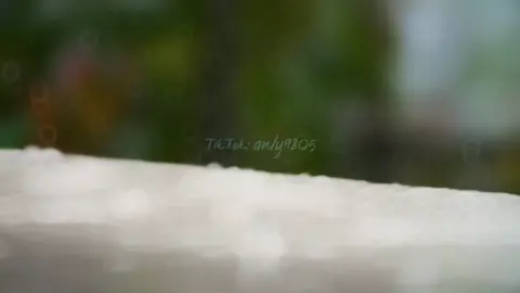 Trời còn mưa mãi. #fullvideo  #dướinhữngcơnmưa 