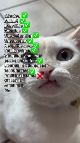 Yeti said too far #yetitok #yetiworld #funnycatvideo #noboit #cattok #sometimesmylipgetsstuckonmyteeth 