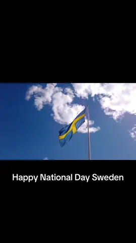 #sweden #swedish #nationalday #flag #sverigesnationaldag #dugamladufria 