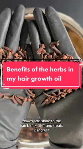 The best hair growth oil on the market ✨ #hairgrowth #hairoil #hairloss #hairlossremedy #fyp #viral #trending #herbalremedies #herbs #asmr #asmrsounds #oilbenefits 