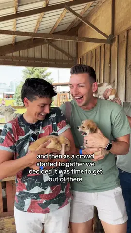What better way to spend our wedding anniversary than with cute and cuddly company!? 🐰🐶🐱🐮🐥🐴🐂🐐🦙 #cedarrapids #husbands #happyanniversery #crtourism #adayinthelife #iowa #farmtok #fyp 