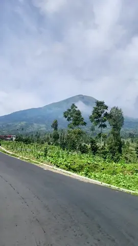 sejuk poll #wonosobo #tambi #dieng
