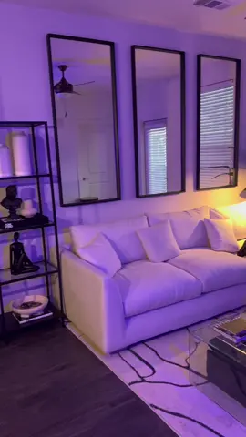 Just got a new rug and I’m in love with the way my living room is coming together!  #interiordecorating #ikeahomefinds #putitonthefloor #amazoninfluencer #minimalisthomedecor #fyp #viral #trending #atlantaapartments 