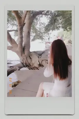 #CapCut 