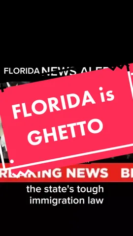 #stitch with @Hispanics TikTok  it's what she deserves 🤭 #florida #latinos #hispanics #Love #diversity #fyp #foryoupage 