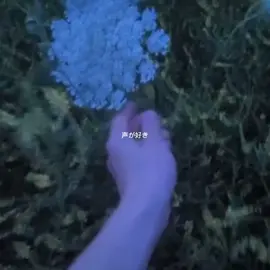 私たちは出会っちゃいけなかったの ? #bluecore #dreamcore 
