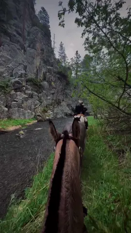 #cowboy #western #horse #ride #fyp #Lifestyle #country #rain 