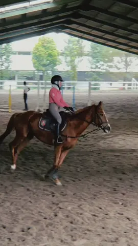 Belajar terus 🐎💪🏻✨ MasyaAllah tabarakallah🤍🤍