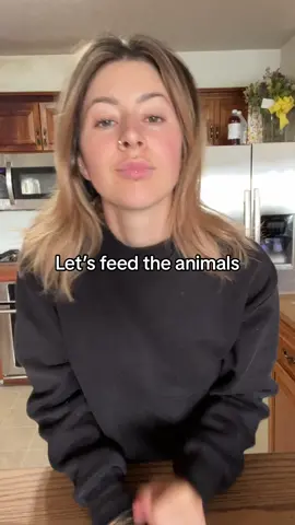 Happy Wednesday #hobbyfarm #DailyRoutine #morningroutine #minifarmlife #pigsoftiktok #nigeriandwarfgoats #horses #morningchores #feedmyanimals #farmanimals #botoxcheck #ditl #morningvlog 