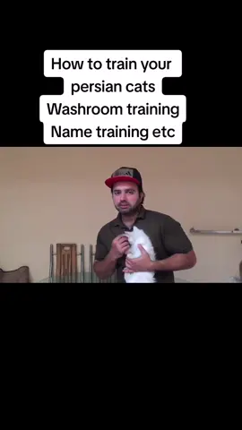 #kittencare #catscare #kitten #cats #Persiancat #catslover #catstraining #training #catstraining #washroomtraining
