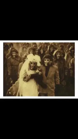 How would a Krieg wedding go? #fyp #meme #voiceacting #warhammer40k #deathkorpsofkrieg