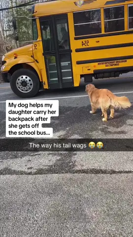 The way she turns at the end to wave goodbye to the bus driver 😭😭😭 Follow @Pubity for more wholesome content #Pubity (Kelly Wilson via @ViralHog)